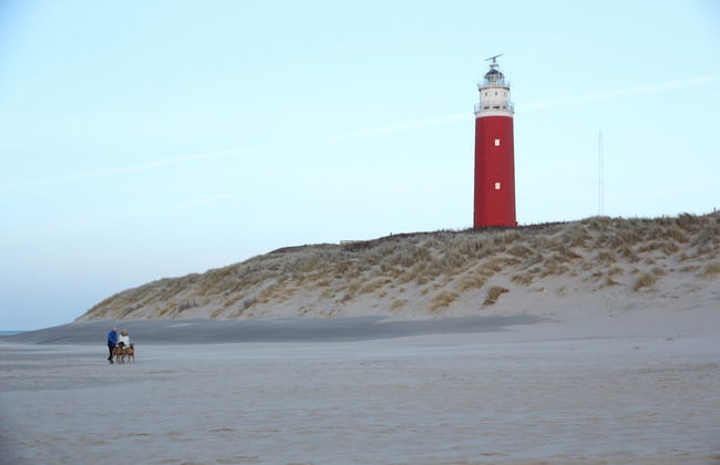 Pet-friendly Texel Escape - Foto 15