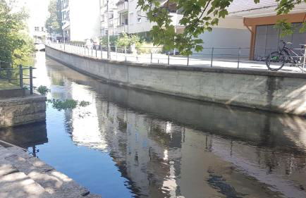 100m zum Ulmer Münster: 57m² Wohnung an der Blau - Foto 32