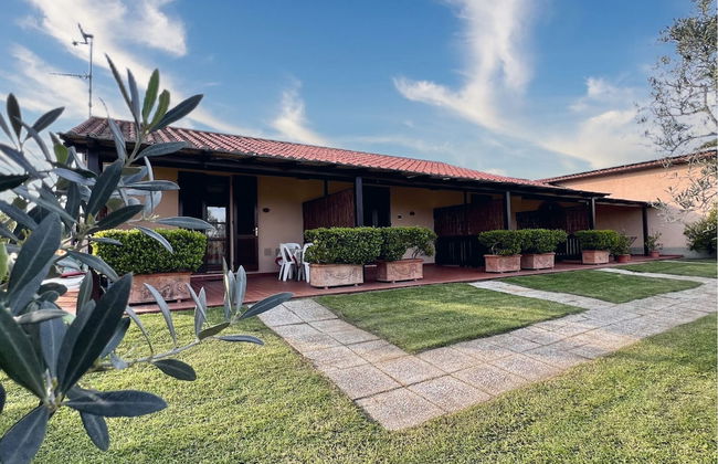 Agriturismo Podere I Ciliegi - Foto 11