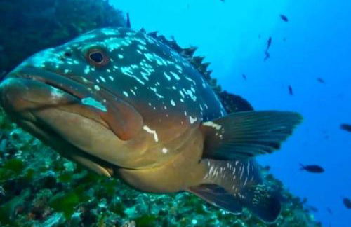 neues Haus mit beheiztem Pool - Foto 32