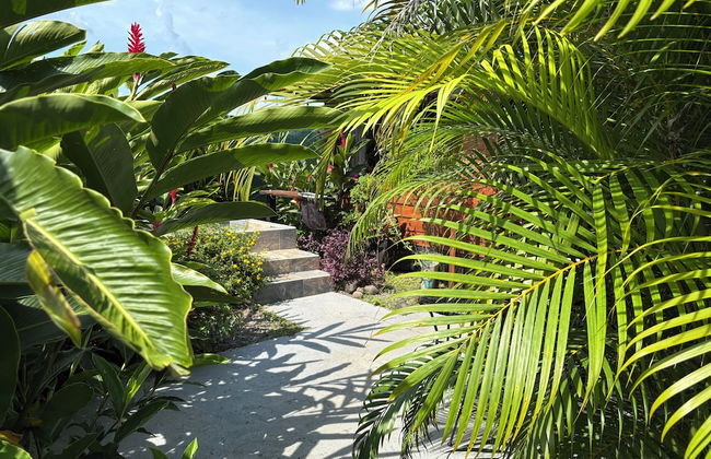 Cabañas Kwepal Costa Rica - Foto 19