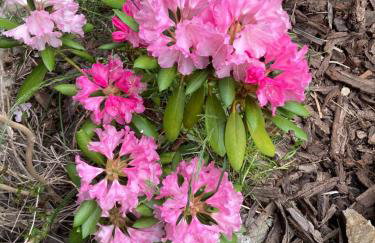 Dom Gościnny Zarembianka - Foto 71