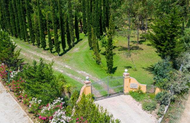 Tenuta Valente - Foto 51