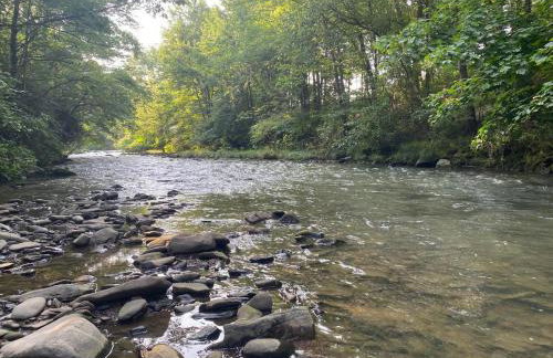 Historic Sears River Home (Main Level) on 10 Acres - Foto 34