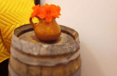 Lazy Lizard by the Ocean - Foto 28