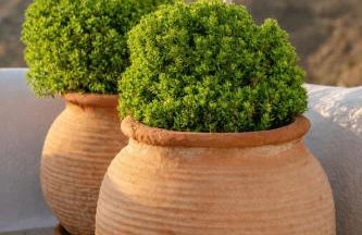 Ikastikies Suites - Foto 50