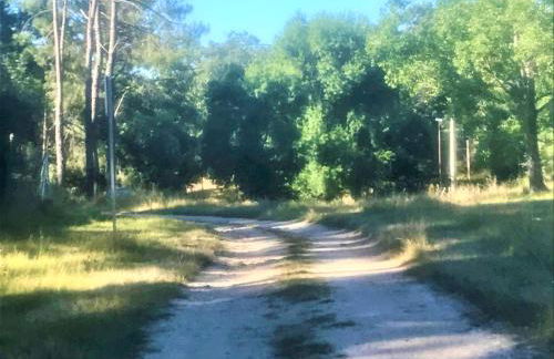 LA CASA DE LA ABUELA DESI - Foto 66