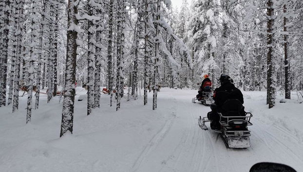 Découvrez une Safari en Motoneige de 3 Heures en Laponie (70 km) - Photo 4