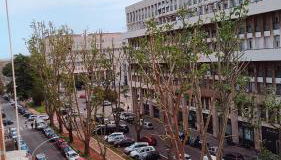 Dreaming ROoME - Foto 3