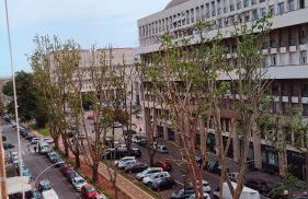 Dreaming ROoME - Foto 3