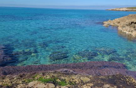 Casa del Nespolo - Foto 16