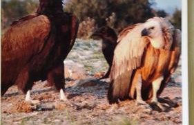 Hotel-Apartments La Strada - Foto 130