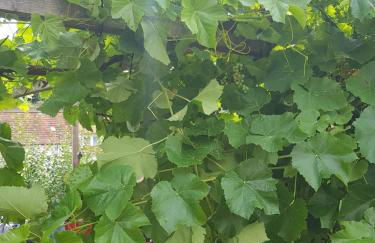 Haus herhönspatziert - Photo 11