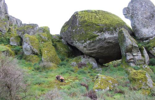 Lugar São Salvador de Monsanto - Foto 50