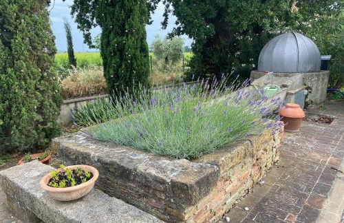 Podere Campo alle Serpi - Foto 65