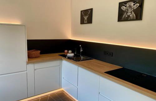 Bergelemente - Gmundberg Apartment - Foto 21