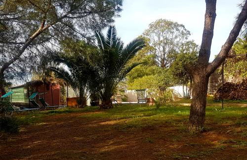 Morphée Valdareina, PISCINE CHAUFFEE, Bénagil-Carvoeiro - Foto 29