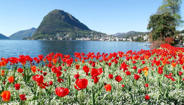 Casa Palma in Lugano - Foto 3, Habitación