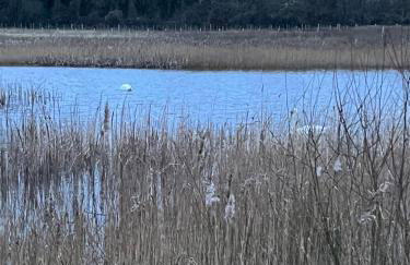 Magog View - Foto 16