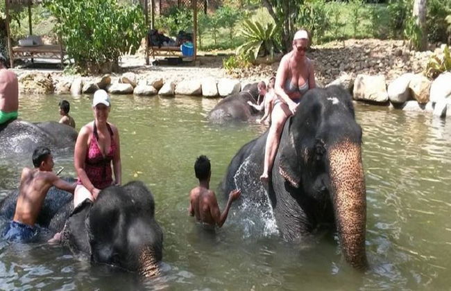 Half Day Elephant Bathing welfare center from Phuket - Foto 3