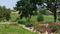 Clos Baroanni - Studio luxe Quercus - Foto 5, Garden, Garden view