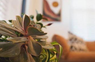 Canyon Stop - Foto 70