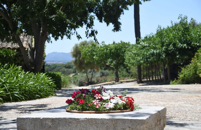 Agroturismo Son Siurana - Photo 62