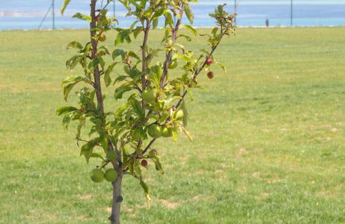 Cabanas da Barcela - Foto 43