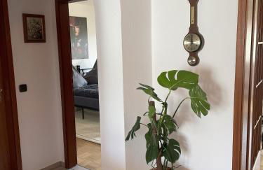 Schwarzwald Style - Ruhige & komfortable Fewo in zentraler Lage Solemar & Kliniken - Ideal für Kurgäste, Begleitpersonen, Berufspendler - Attraktiv für längere Aufenthalte - Foto 26