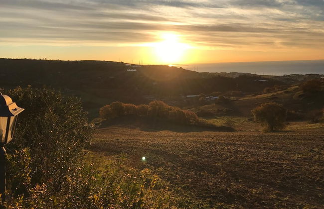 I Cardinali - Foto 38