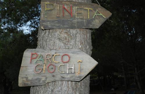 Macchia Salentina - Foto 39