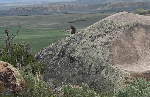 Red-tail Roundhouse at 22 West Cabins and Recreation - Foto 24