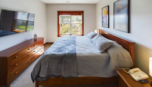 Soaring Eagle Ski-in - Ski-out Condo with Hot Tubs - Foto 4