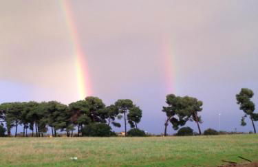 Le CaRaMeLle di Baratti - Foto 13