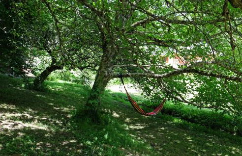 Maison avec vue, grand terrain clos, bain nordique privé toute l'année, animaux acceptés - Foto 25