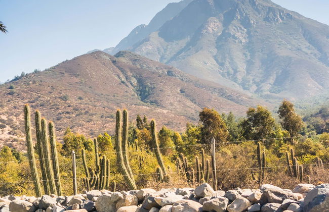 Tour por el Parque Nacional La Campana con 2 noches de alojamiento - Foto 8