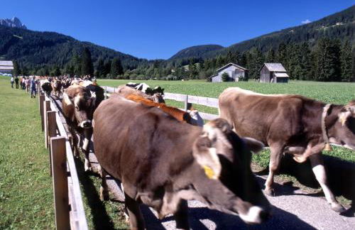 Appartement Hell - Foto 14