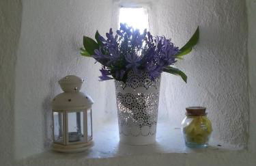 O Ze Ja Dormiu Aqui - Photo 46