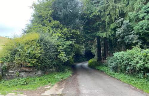 The Cottage at Sychnant Farm - Photo 36