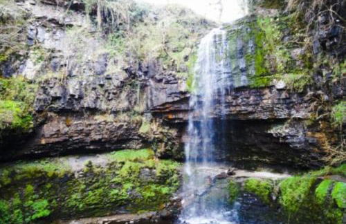 Viaduct View - Cefn Coed - Photo 38