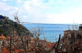 Il Limoneto degli Angeli - Foto 2