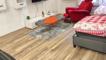 Komplettes Appartement mit separatem Eingang - Foto 4