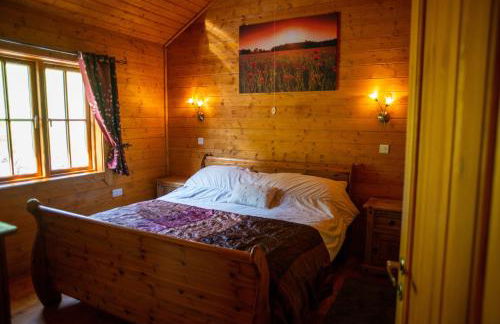 George Cabin - Log Cabin in Wales with Hot tub - Foto 8