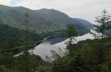 Shepherds hut Dolly wagon - Foto 10