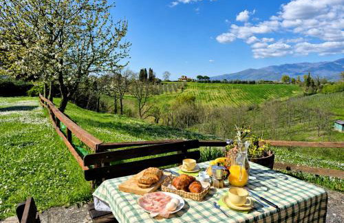 Agriturismo il Pino - Bioagricoltura - Foto 42