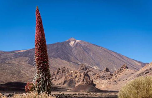 Kings Kapital - Foto 38