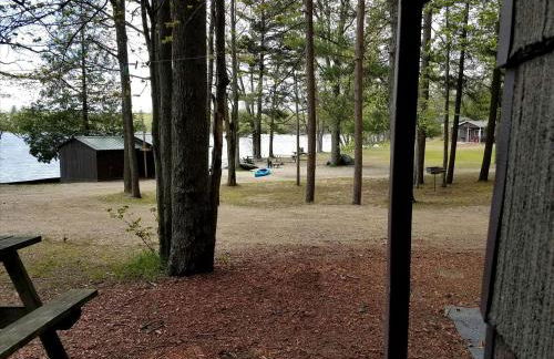 Gorgeous Getaway Cabin in the Woods near Lake Michigan in Wellston, Michigan - Foto 9