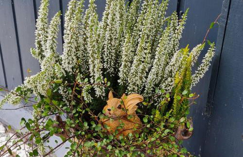 Haus Steindöbra - Foto 3