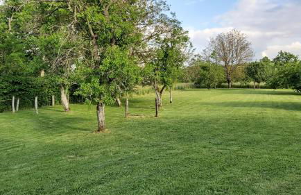 Hébergements Sylvain - Foto 38