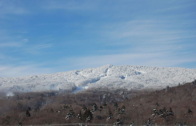 Sweet Life Brought to you by GetAway Vacations - Foto 22